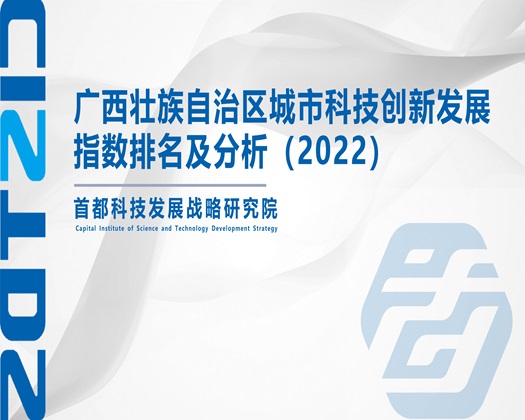 舔B摸奶hhh网站免费视频【成果发布】广西壮族自治区城市科技创新发展指数排名及分析（2022）